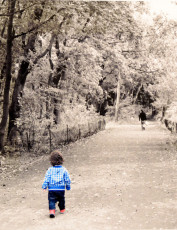 The Wandering Boy