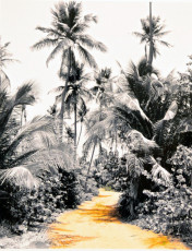 Path of Opportunity