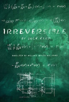 Irreversible_Poster