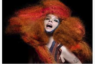 Bjork MoMA