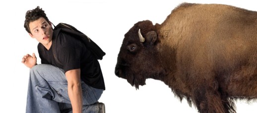 buffalo